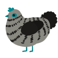 (unnamed), a ash and sable chicken with a bar pattern