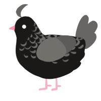 A sable and grey chicken with a half-lace pattern