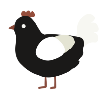 Circle, a sable and white chicken