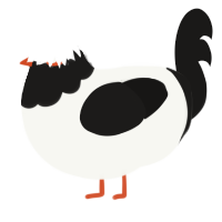 A white and sable chicken with a head pattern