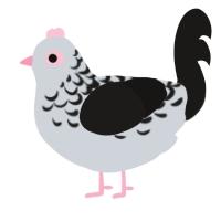 A mist and sable chicken with a half-lace pattern
