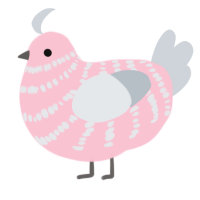 Kimmy, a rose and mist chicken with a bar pattern