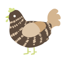 A bark and beige chicken with a bar pattern