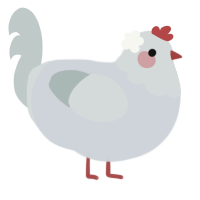Daisy, a mist and silver chicken with a head pattern