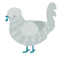 A silver chicken with a bar pattern