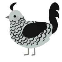 (unnamed), a silver and black chicken with a lace pattern