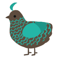 A bark and turquoise chicken with a lace pattern