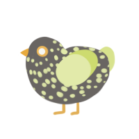 Bop, a grey and lemon chicken with a speckle pattern