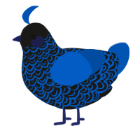 DJ, a sable and ultramarine chicken with a double-lace pattern