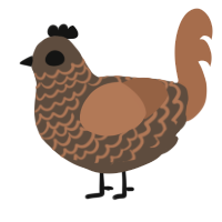 Dirtlet, a bark and brown chicken with a lace pattern
