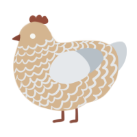 White Laced Cornish, a beige and mist chicken with a lace pattern