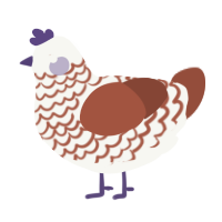 A white and russet chicken with a lace pattern