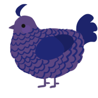 A overcast and navy chicken with a lace pattern