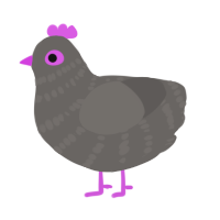 Banded Pigeon, a grey chicken with a bar pattern
