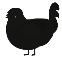 A black chicken with a head pattern