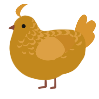 Jorange, a ochre and orange chicken with a half-lace pattern