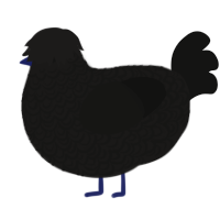 A sable and black chicken with a double-lace pattern