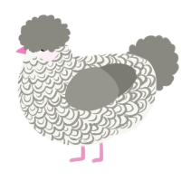 Stubs, a white and ash chicken with a double-lace pattern
