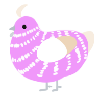 Raspberry Cream, a lavender and cream chicken with a bar pattern