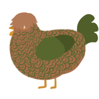 A brown and olive chicken with a double-lace pattern