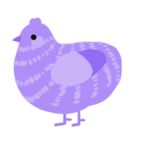 A lilac chicken with a bar pattern