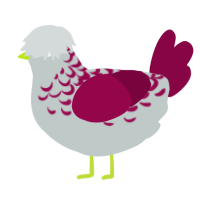 (unnamed), a silver and maroon chicken with a half-lace pattern