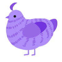 Peeba, a lilac and blurple chicken with a bar pattern