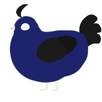 A navy and sable chicken