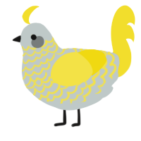(unnamed), a silver and yellow chicken with a lace pattern