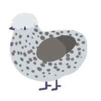 (unnamed), a mist and grey chicken with a speckle pattern