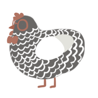 harMONy, a grey and white chicken with a lace pattern