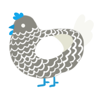 Tracer, a ash and white chicken with a lace pattern