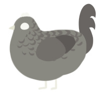 A ash and grey chicken with a half-lace pattern