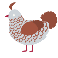 A mist and russet chicken with a lace pattern
