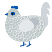 Spirit, a silver and mist chicken with a lace pattern