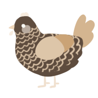 A bark and beige chicken with a lace pattern