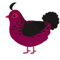 A maroon and sable chicken with a half-lace pattern