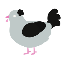 Baldspot, a silver and black chicken
