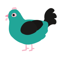 A turquoise and sable chicken