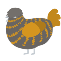 (unnamed), a grey and ochre chicken with a bar pattern