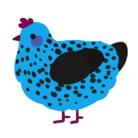 A sky and sable chicken with a speckle pattern