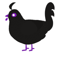 xxy sable, a sable chicken with a double-lace pattern