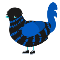夜中, a sable and ultramarine chicken with a bar pattern