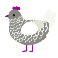 (unnamed), a ash and white chicken with a lace pattern