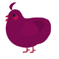 Tipsy, a wine chicken with a lace pattern
