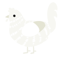 (unnamed), a white chicken with a bar pattern