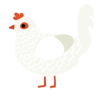 A white chicken with a lace pattern