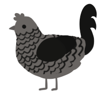 RussianBadger, a grey and black chicken with a lace pattern