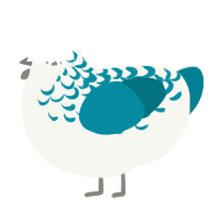 (unnamed), a white and sea chicken with a half-lace pattern