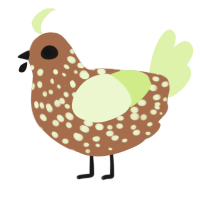 A brown and apple chicken with a speckle pattern